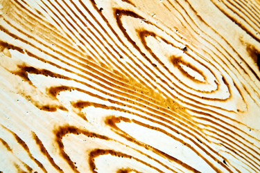 Similar image 9715428