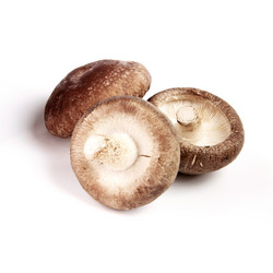 Similar image 9715497