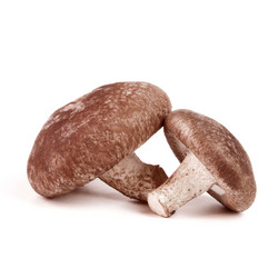 Similar image 9715498