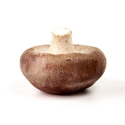 Similar image 9715499