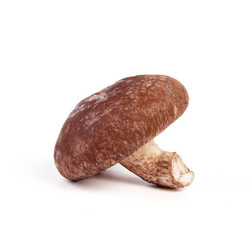 Similar image 9715500