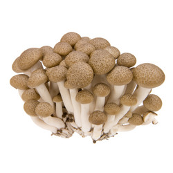 Similar image 9715503