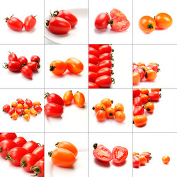 Similar image 9715532