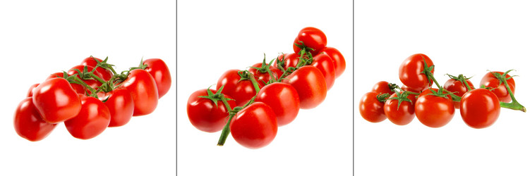 Similar image 9715534