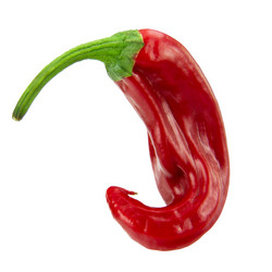 Similar image 9715542