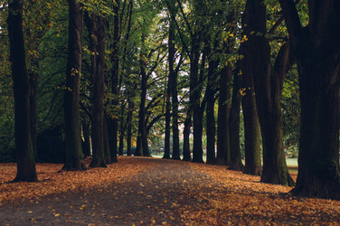 Similar image 9715563