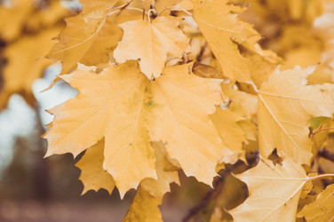 Similar image 9715564