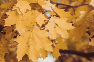 Similar image 9715565