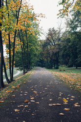 Similar image 9715566