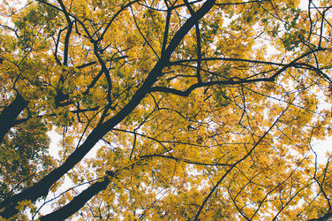 Similar image 9715567