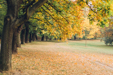 Similar image 9715568