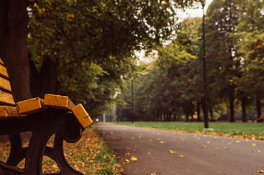 Similar image 9715571