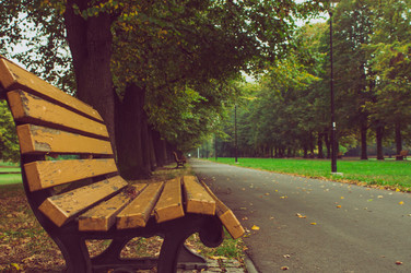 Similar image 9715572