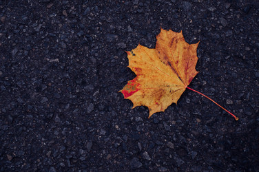 Similar image 9715573