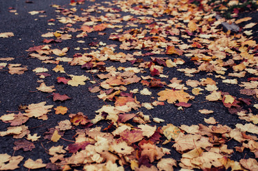 Similar image 9715574