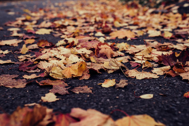 Similar image 9715575