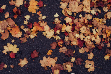 Similar image 9715577