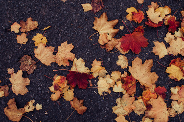 Similar image 9715578