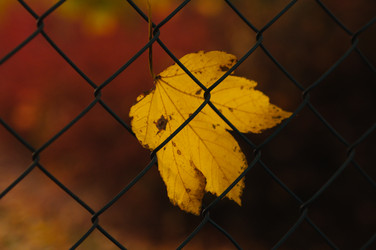 Similar image 9715580