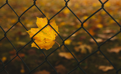 Similar image 9715582