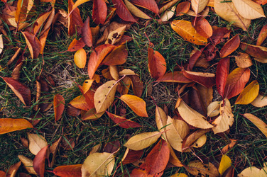 Similar image 9715583