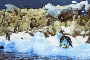 Similar image 9715684