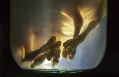 Similar image 9716349