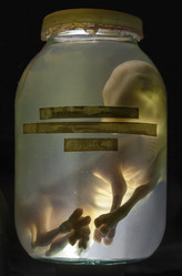 Similar image 9716350