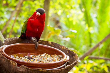 Similar image 9720813