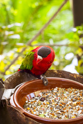 Similar image 9720815