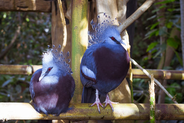 Similar image 9720836