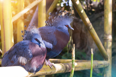 Similar image 9720838