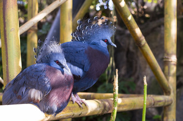 Similar image 9720842