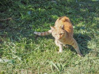 Similar image 9721631