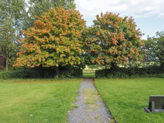 Similar image 9721922