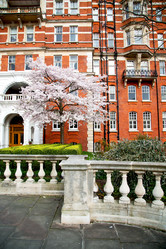 Similar image 9722319