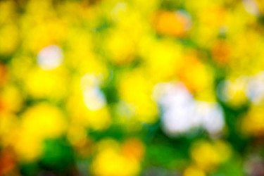 Similar image 9722322