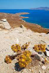 Similar image 9722490