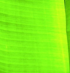 Similar image 9722834