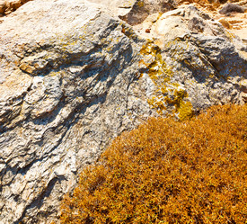 Similar image 9723213