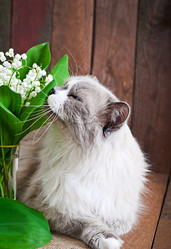 Similar image 9723579