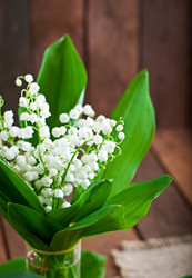 Similar image 9723583