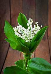 Similar image 9723585