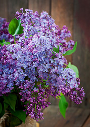 Similar image 9723587