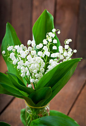 Similar image 9723589