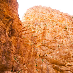 Similar image 9725869