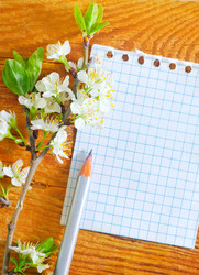 Similar image 9729002