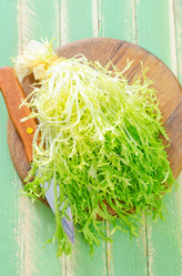 Similar image 9729692