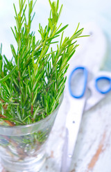 Similar image 9729746