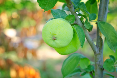 Similar image 9729987